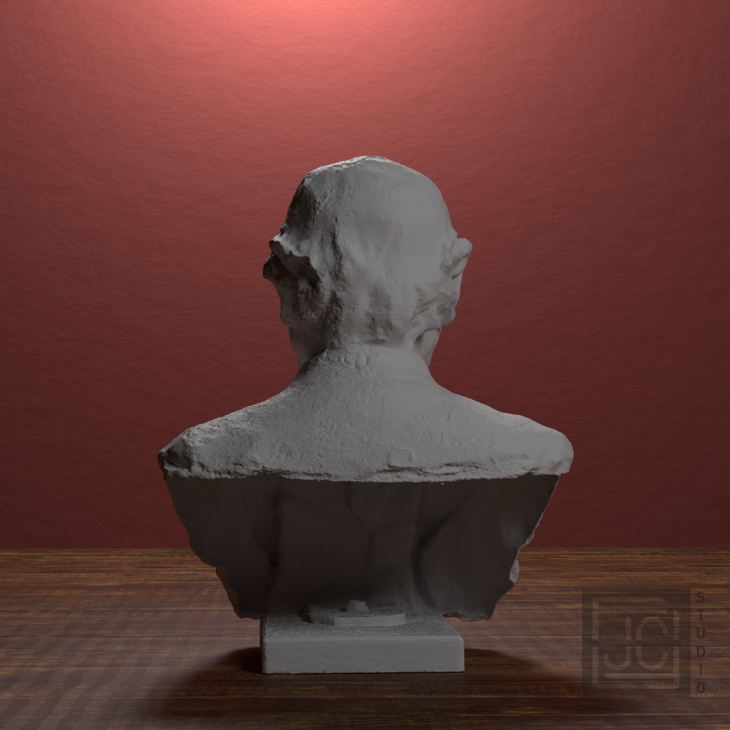 Edgar Degas Bust, library 180 degree view