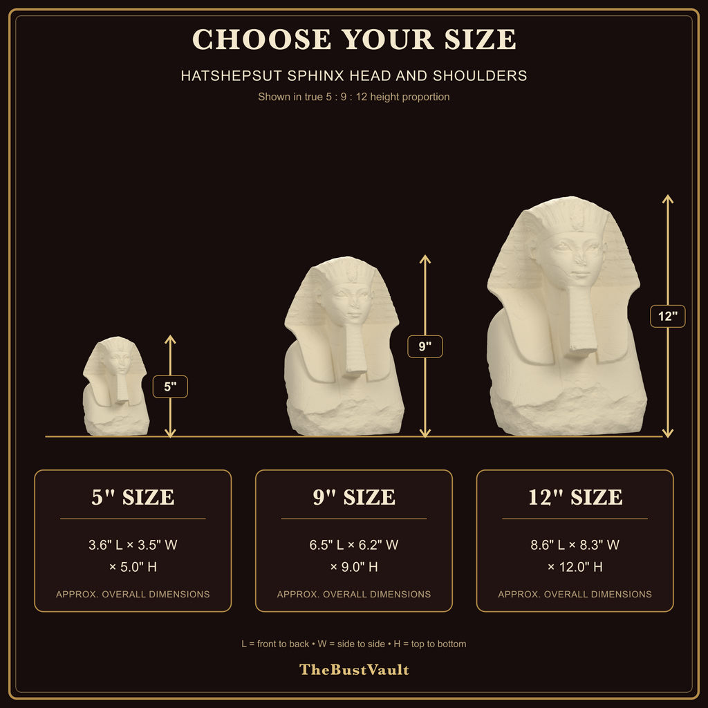 Hatshepsut Sphinx Head and Shoulders, dimensions at 5, 9, and 12 inches