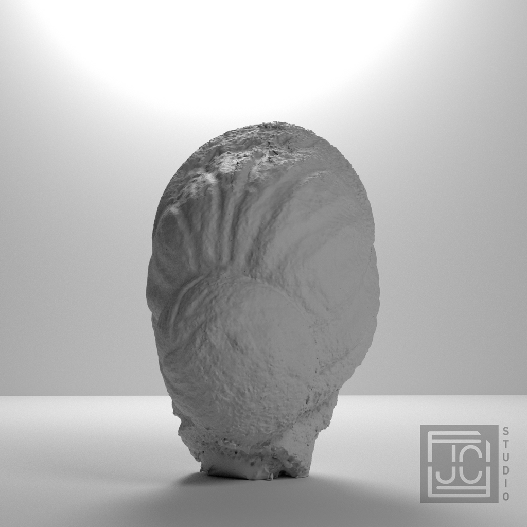 Faustina the Younger Portrait Head, studio 180 degree view