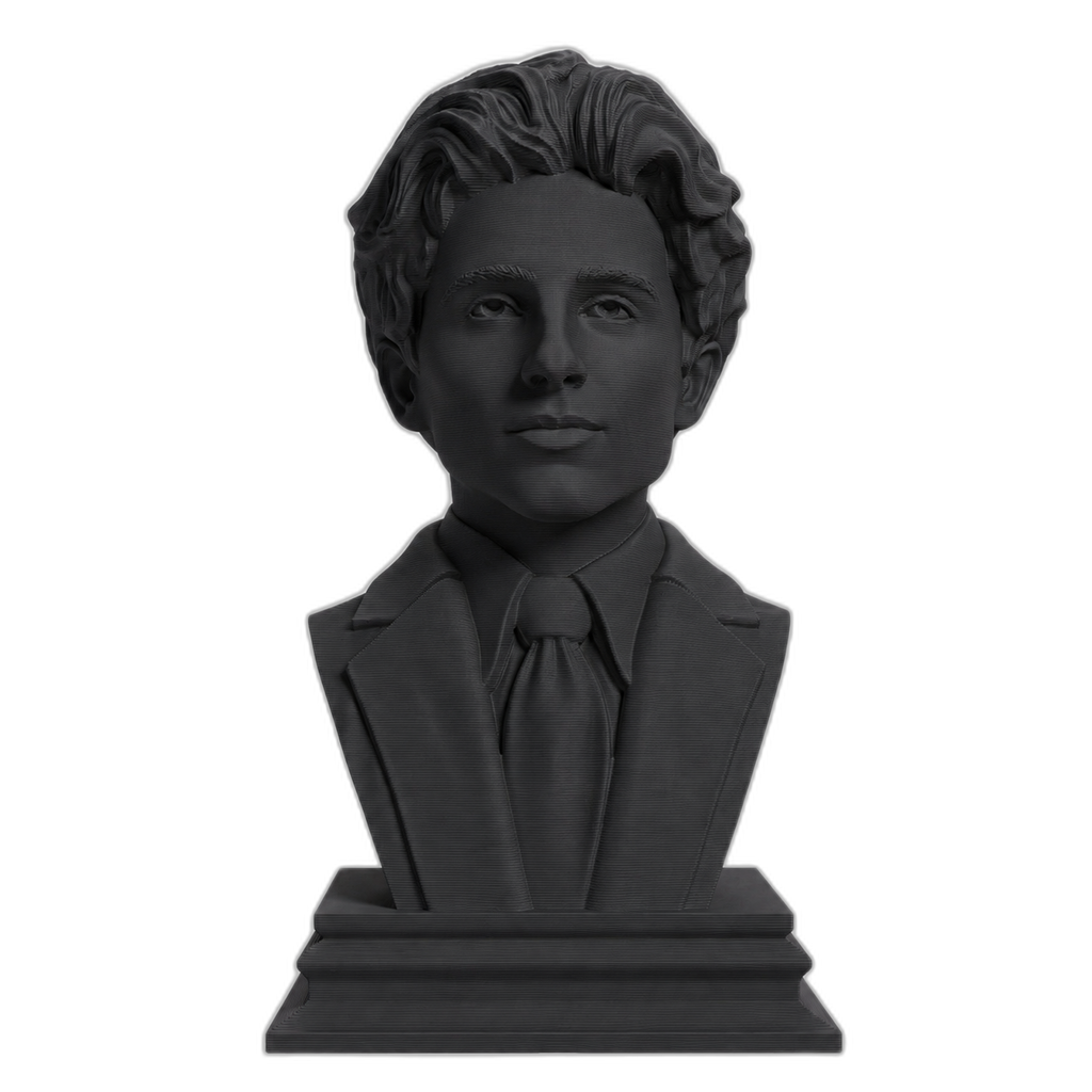 Timothee Chalamet Charcoal Black collectible bust