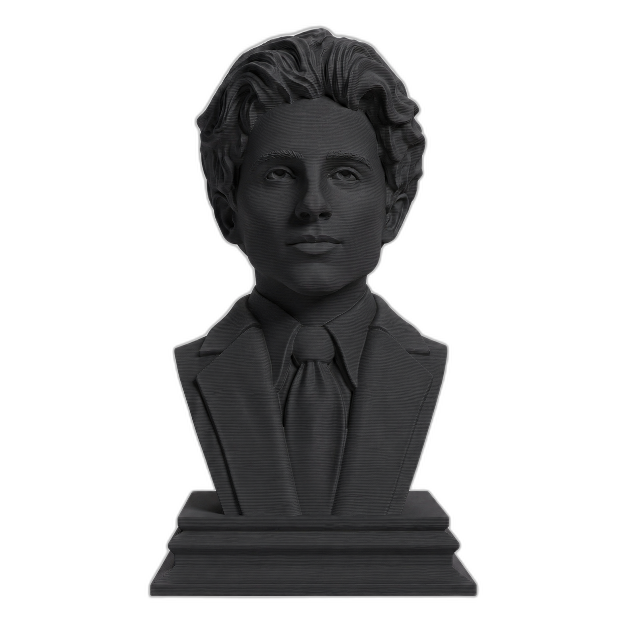 Timothee Chalamet Charcoal Black collectible bust