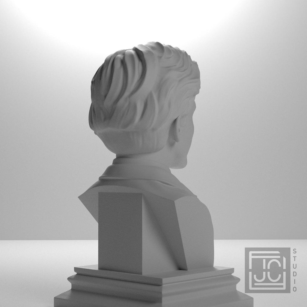 Timothee Chalamet supplemental reference photo 5