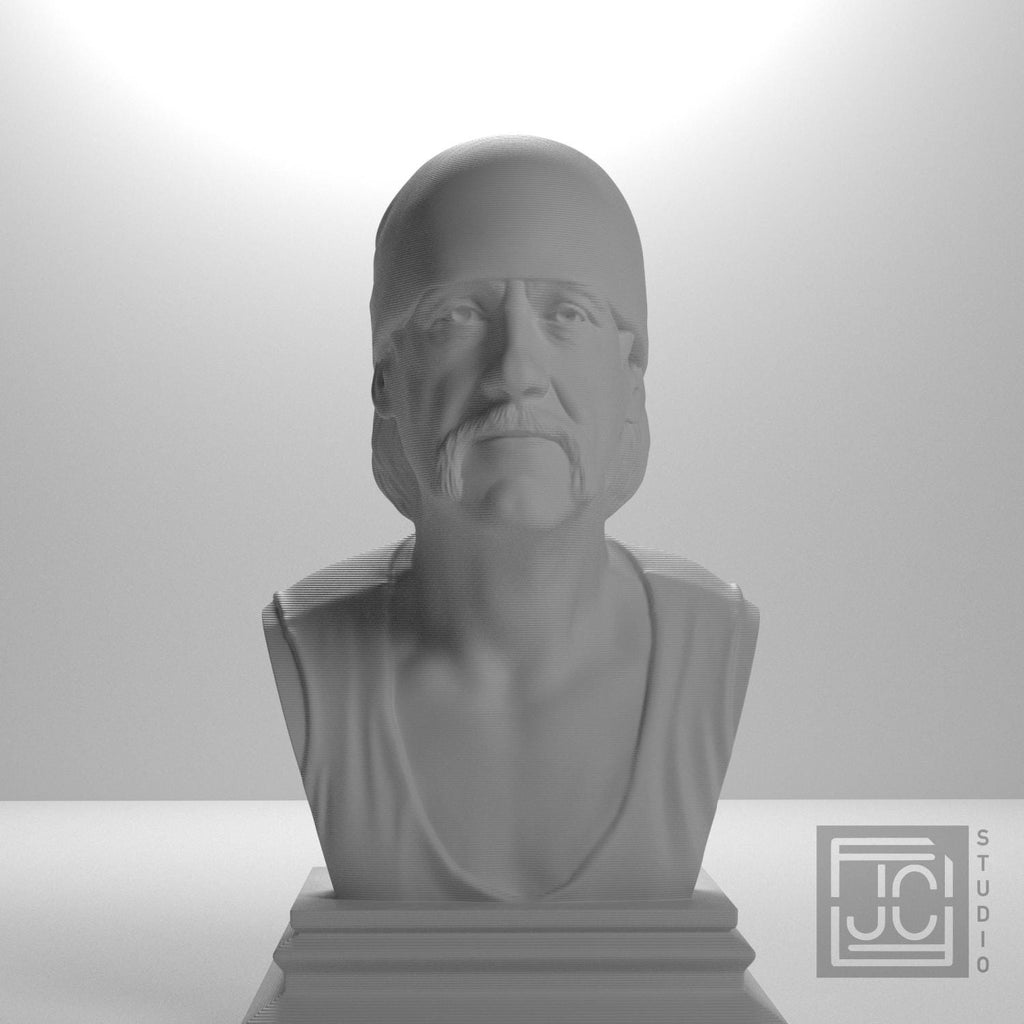 Hulk Hogan supplemental reference photo 2