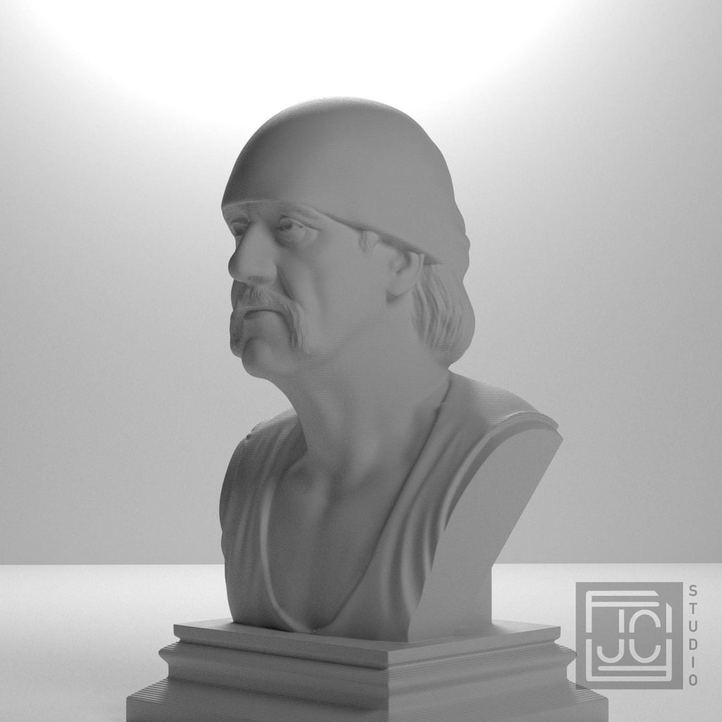 Hulk Hogan supplemental reference photo 9