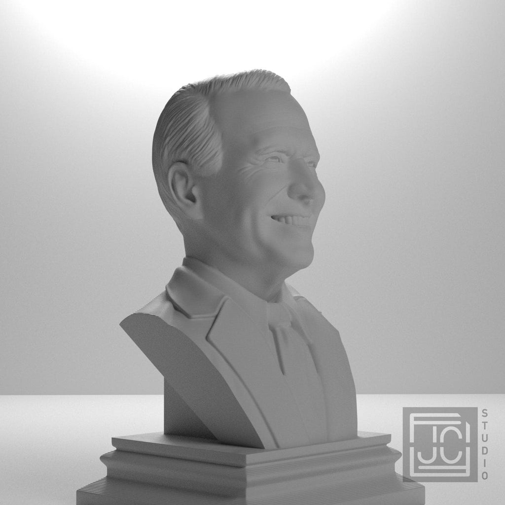 Joe Biden supplemental reference photo 3