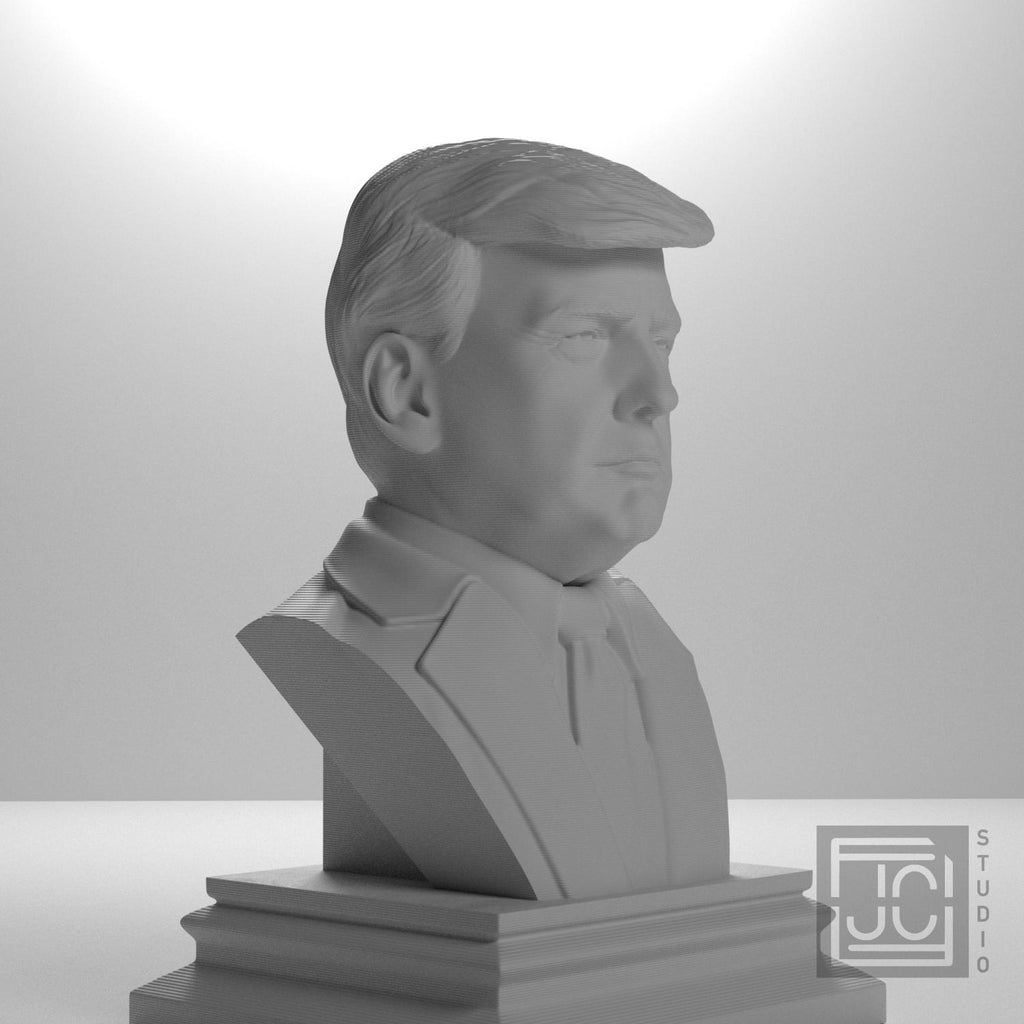Donald J. Trump supplemental reference photo 3