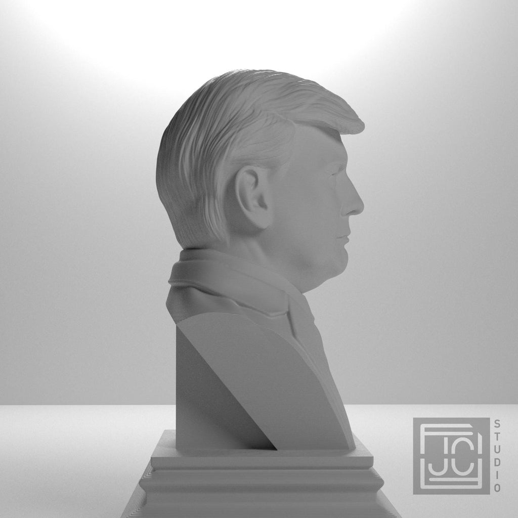 Donald J. Trump supplemental reference photo 4
