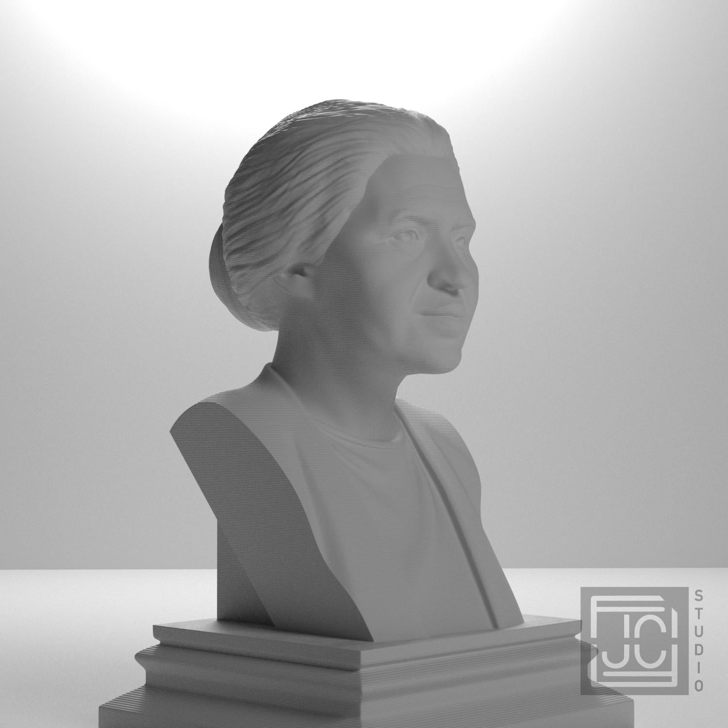 Rosa Parks supplemental reference photo 3
