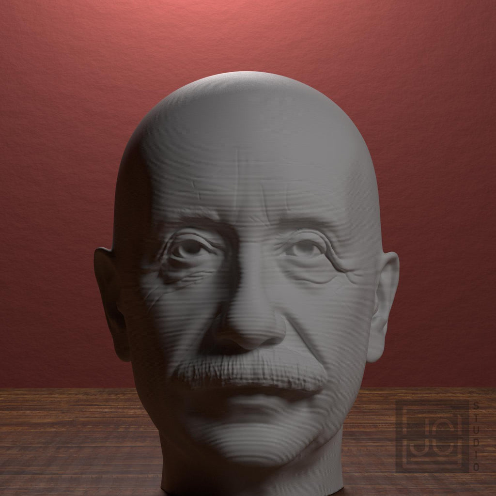 Albert Einstein supplemental reference photo 1