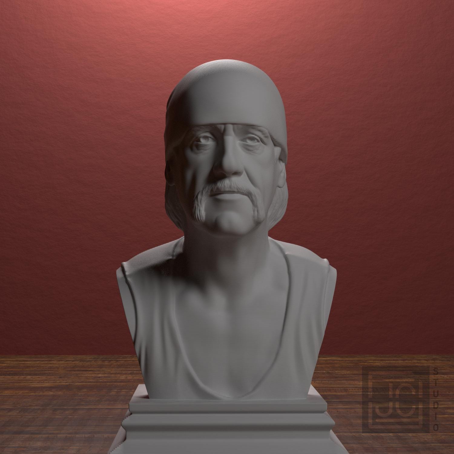 Hulk Hogan supplemental reference photo 1