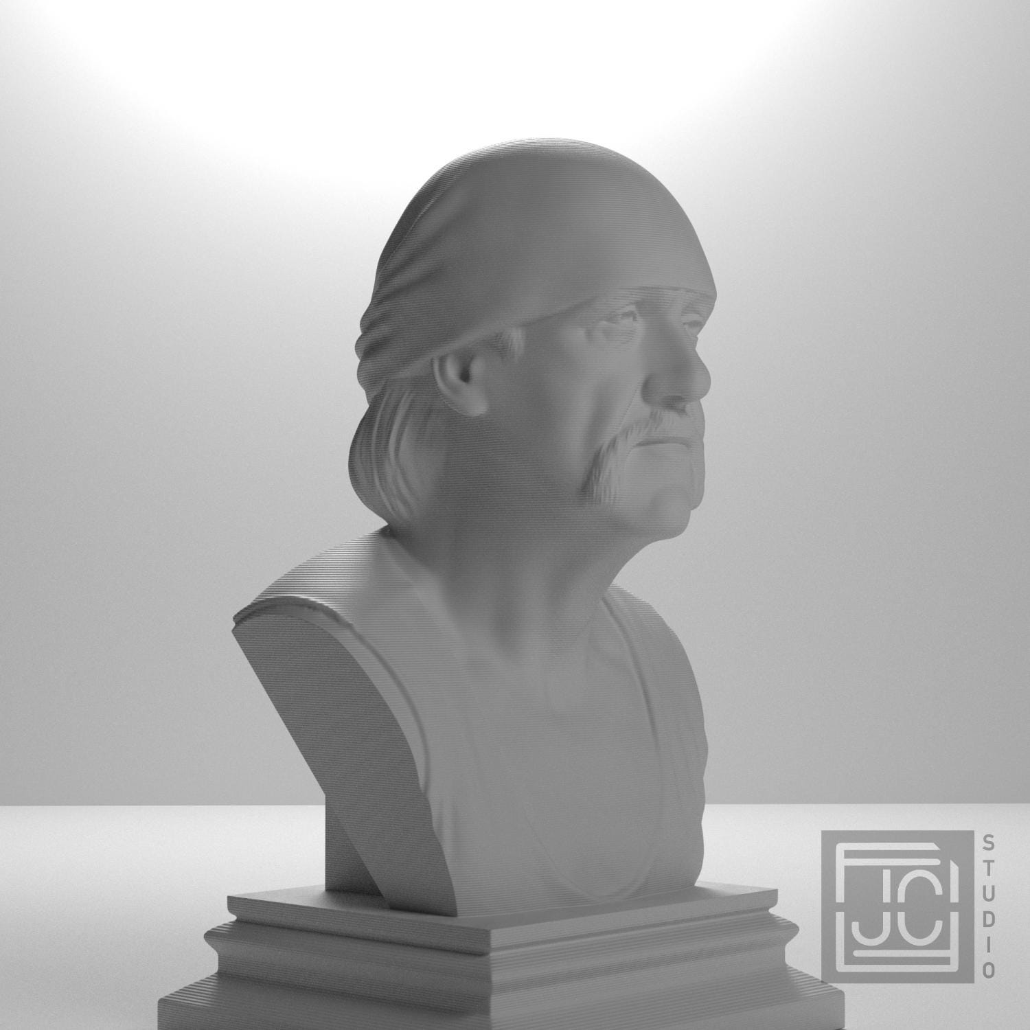 Hulk Hogan supplemental reference photo 3