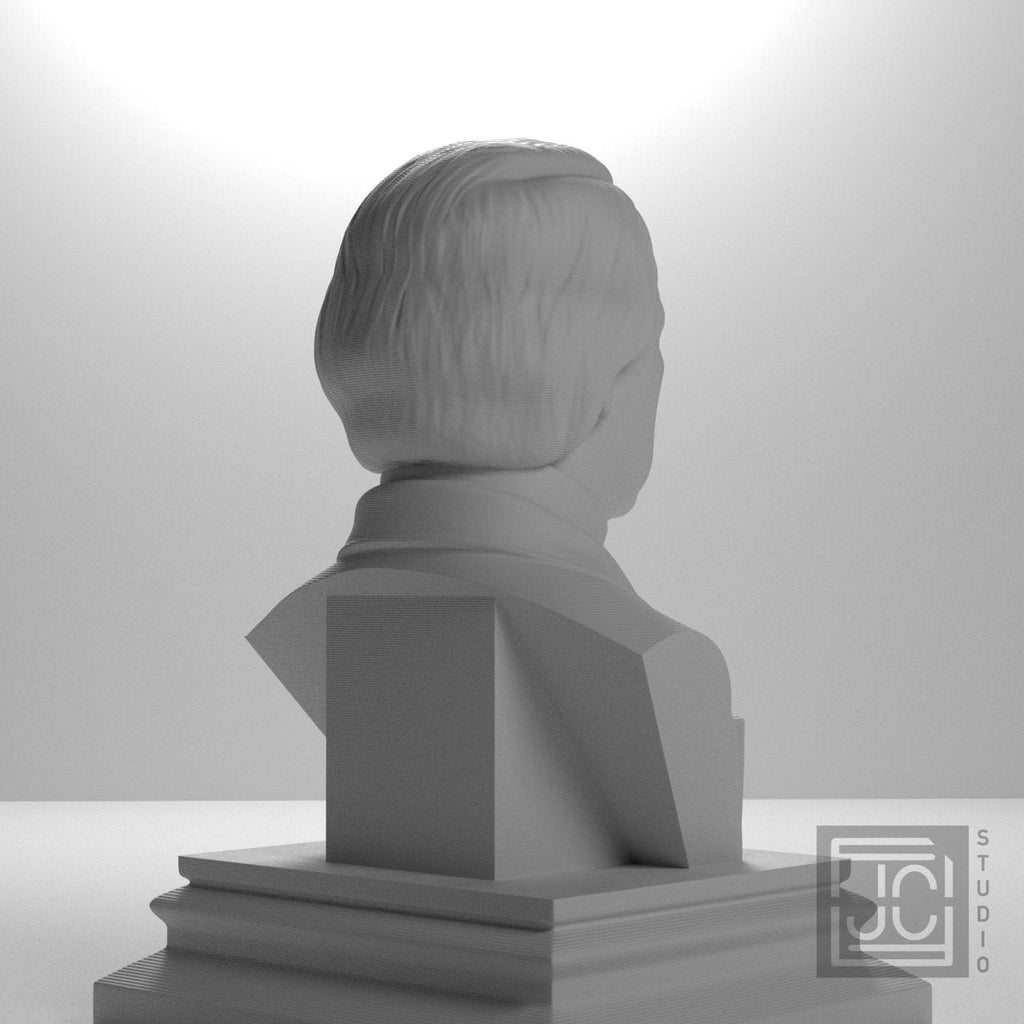 Andrew Johnson supplemental reference photo 5