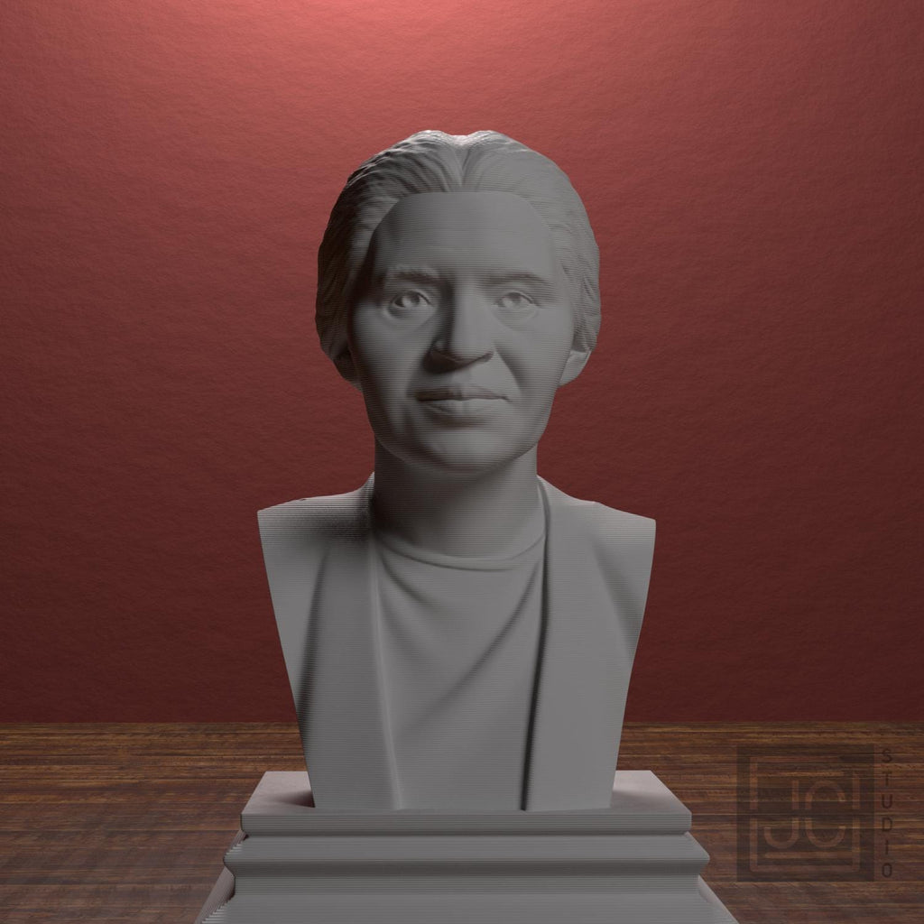 Rosa Parks supplemental reference photo 1