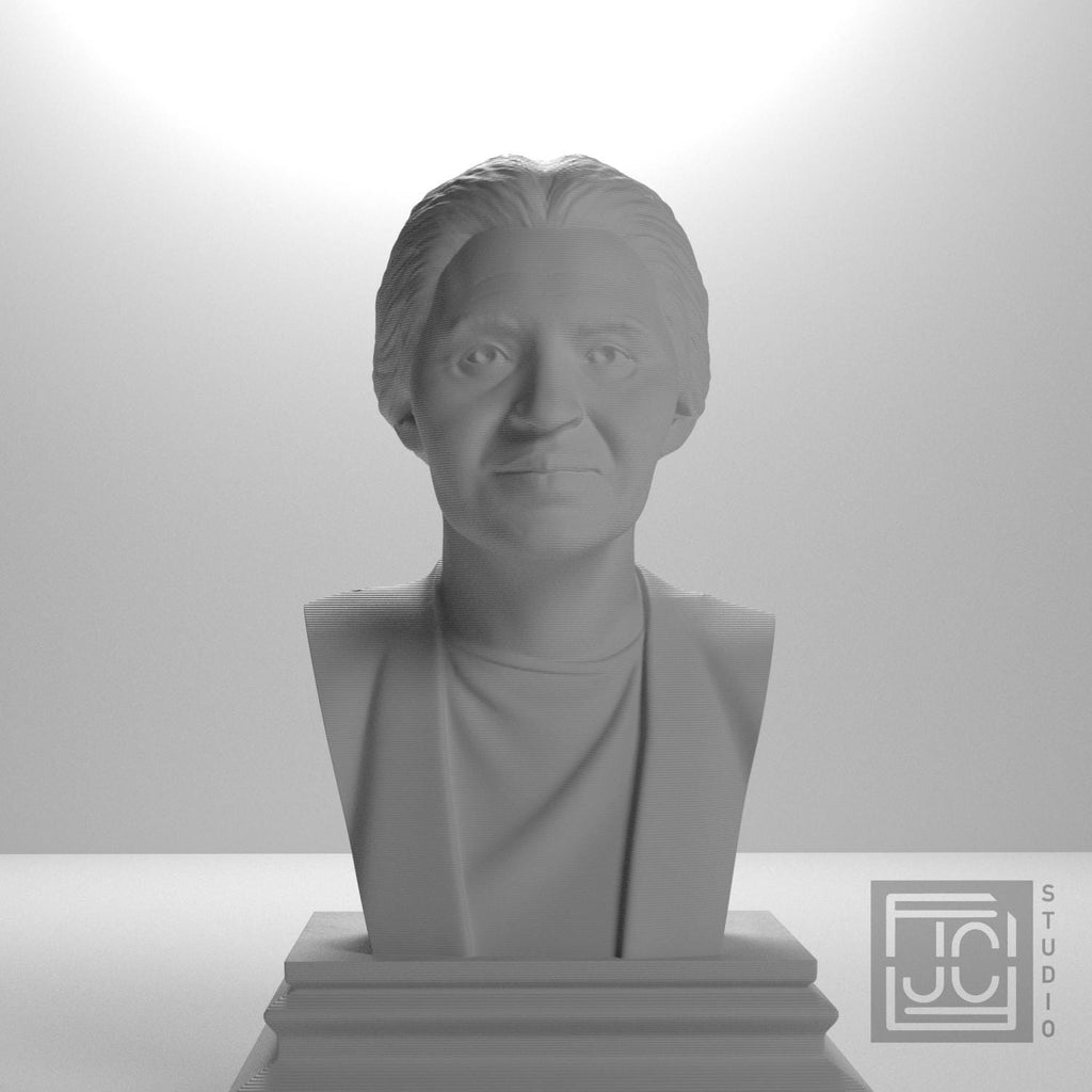 Rosa Parks supplemental reference photo 2
