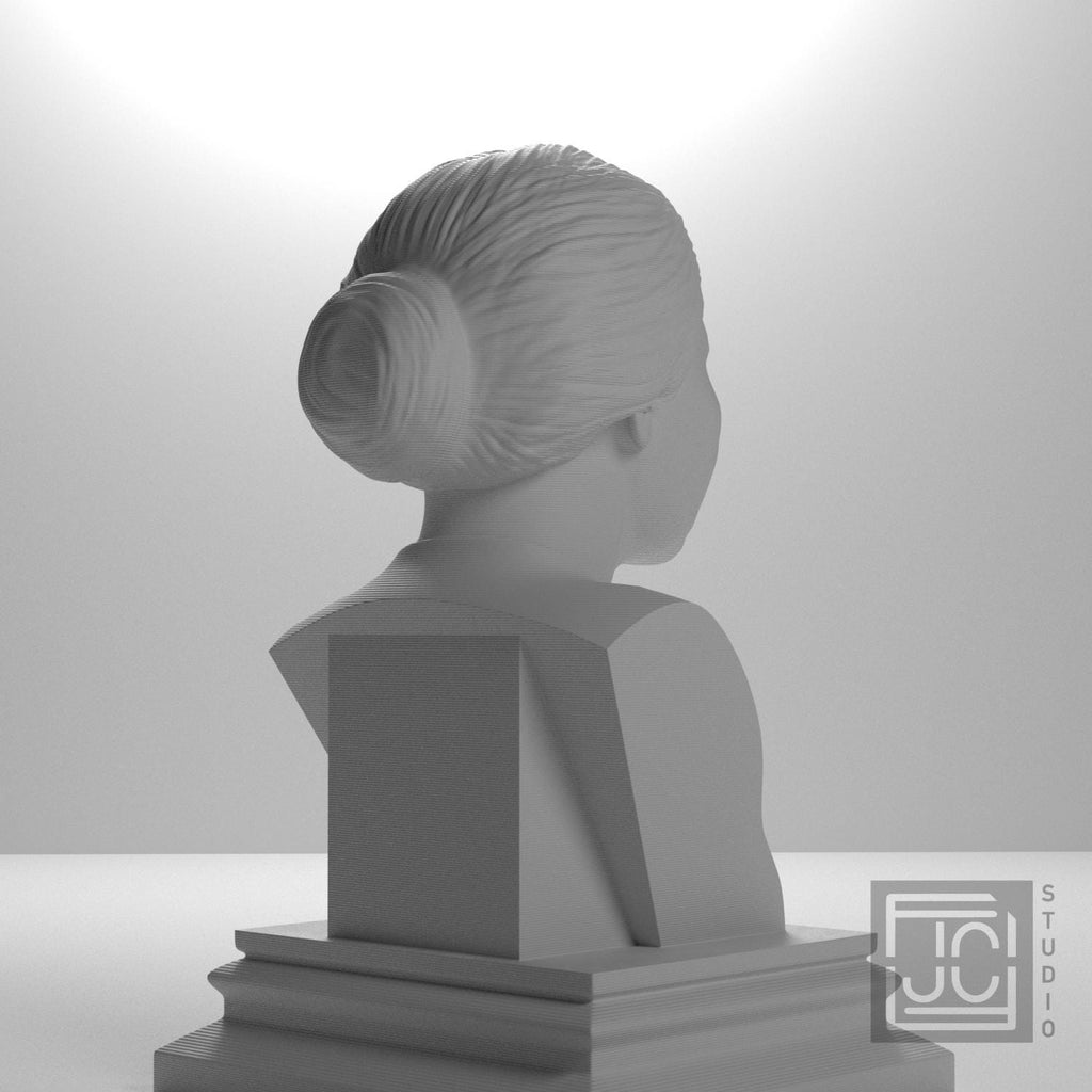 Rosa Parks supplemental reference photo 5