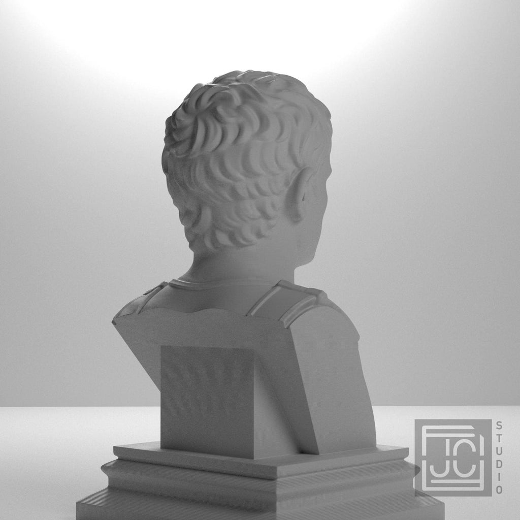 Augustus supplemental reference photo 8