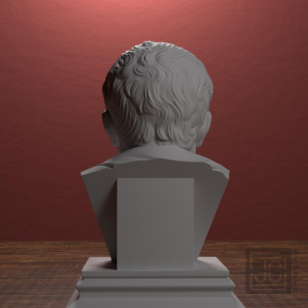 Cicero supplemental reference photo 3