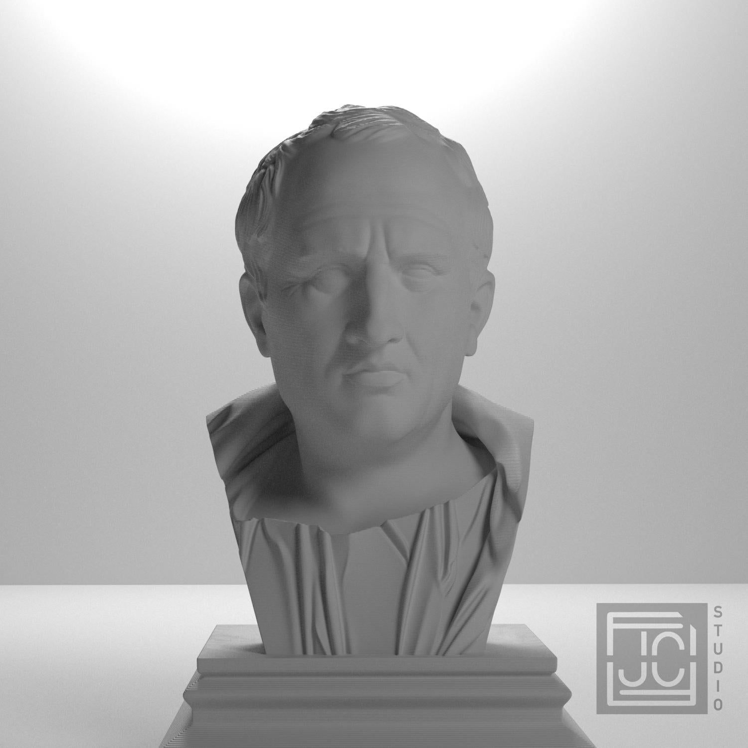 Cicero supplemental reference photo 5
