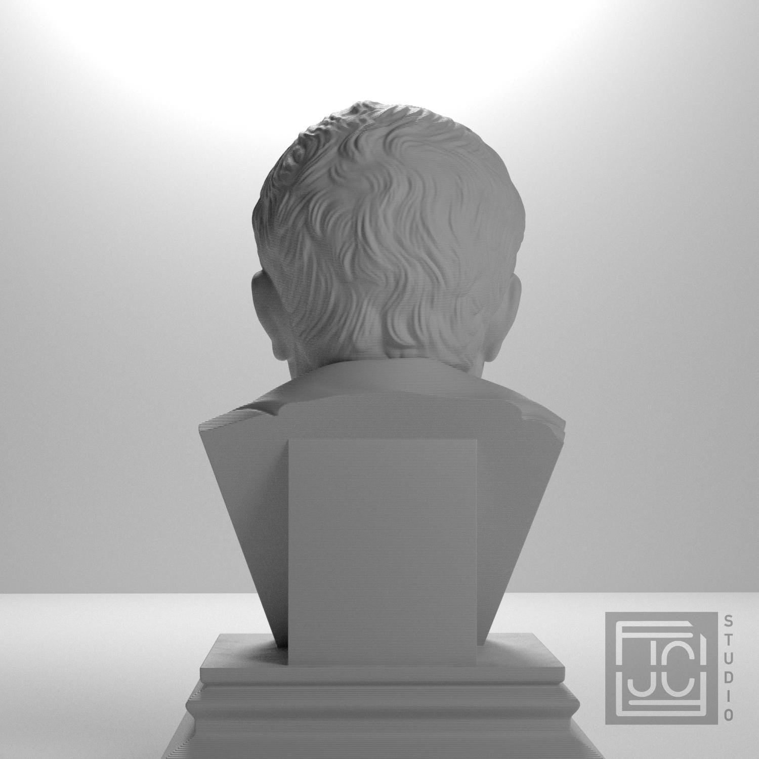 Cicero supplemental reference photo 9