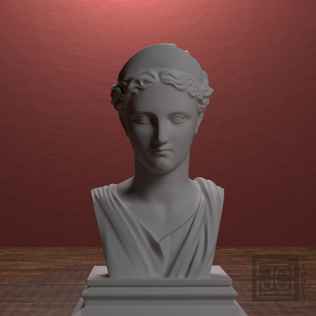 Artemis supplemental reference photo 1