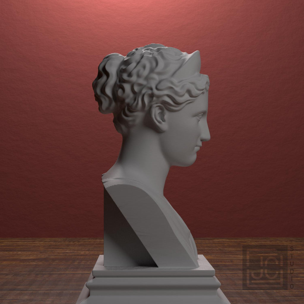 Artemis supplemental reference photo 2