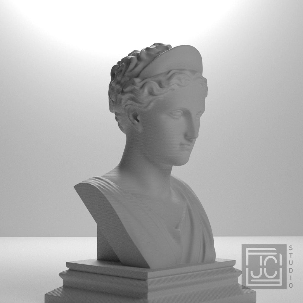Artemis supplemental reference photo 6
