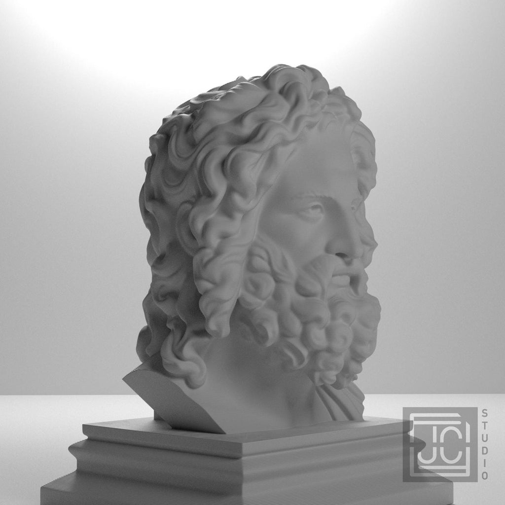 Zeus supplemental reference photo 6