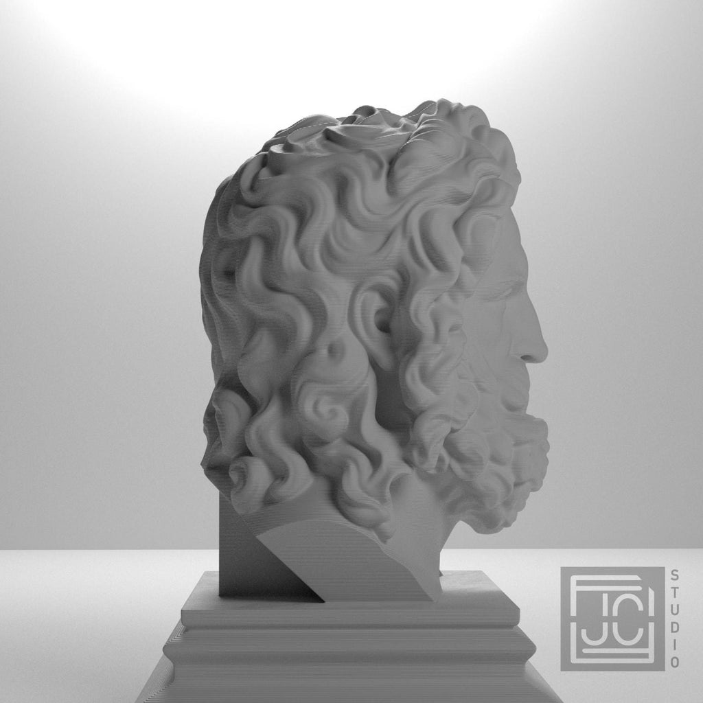 Zeus supplemental reference photo 7