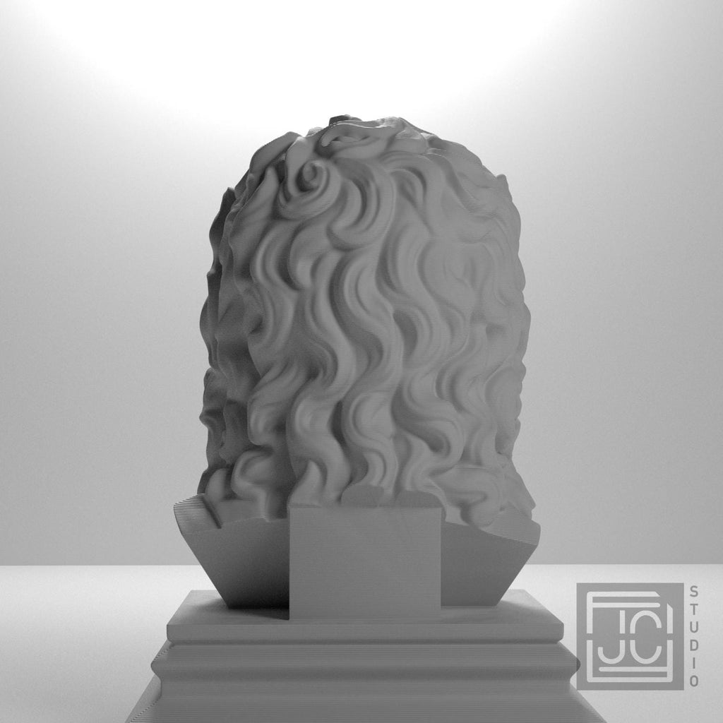 Zeus supplemental reference photo 9