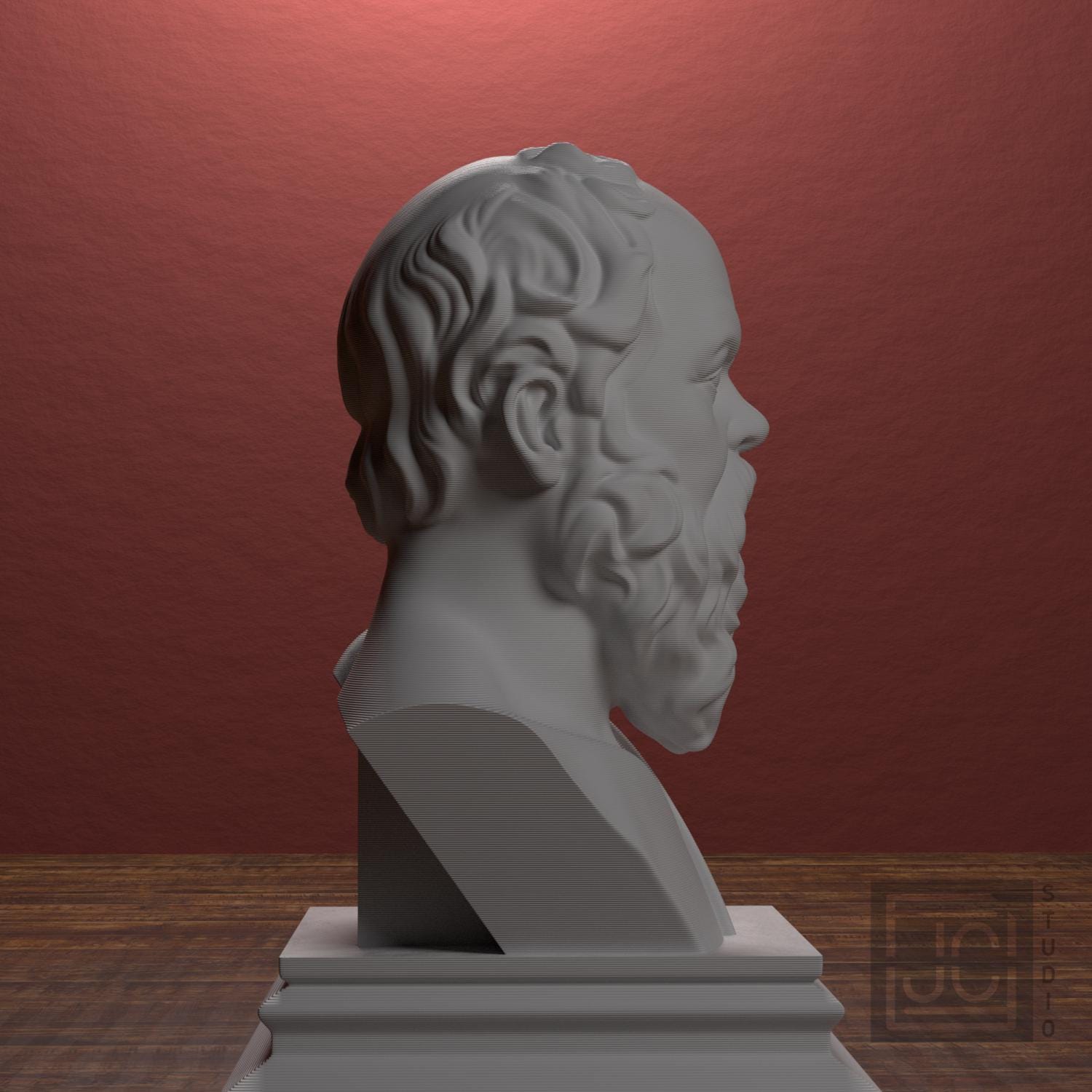 Socrates supplemental reference photo 2