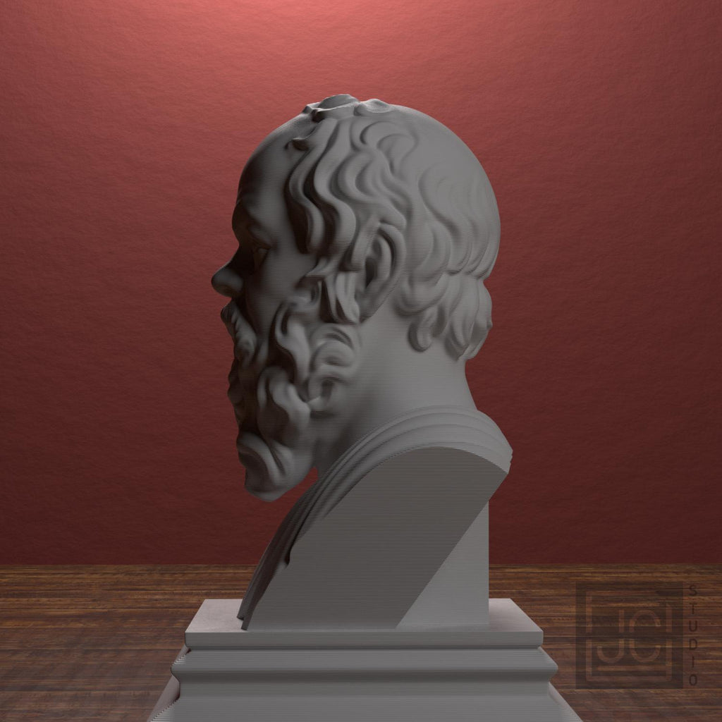 Socrates supplemental reference photo 4