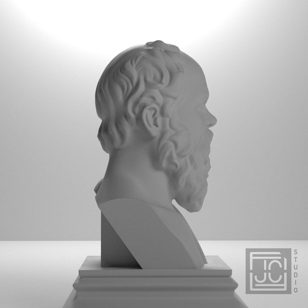 Socrates supplemental reference photo 5