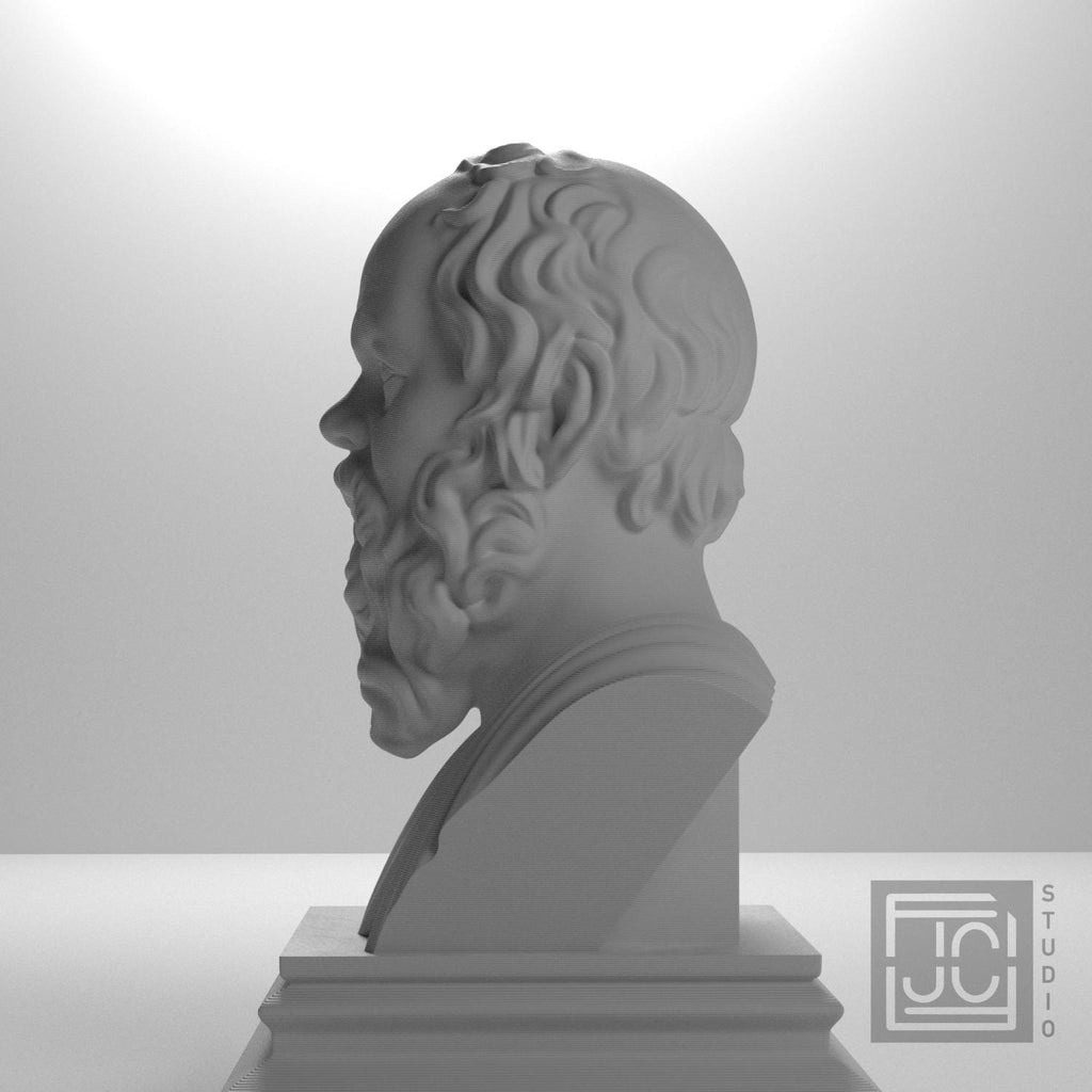 Socrates supplemental reference photo 9