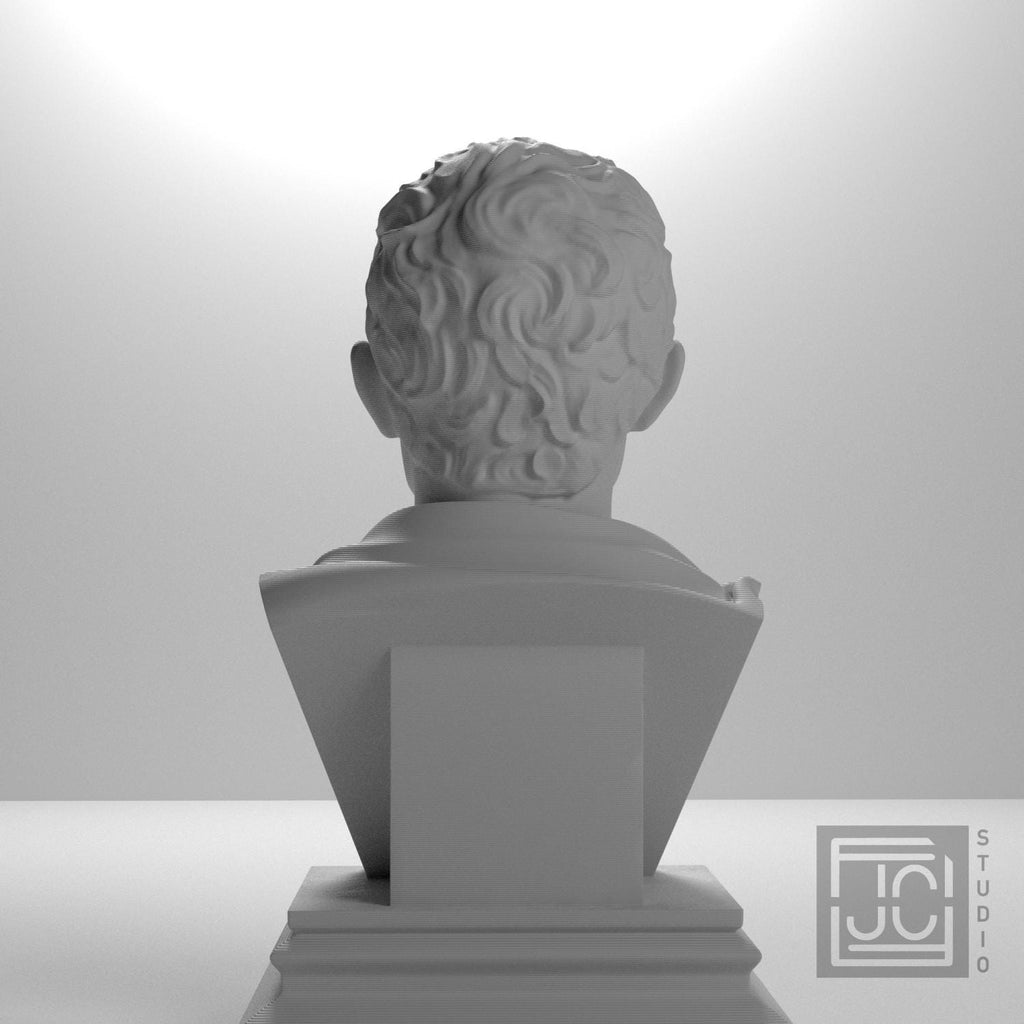 Julius Caesar supplemental reference photo 9