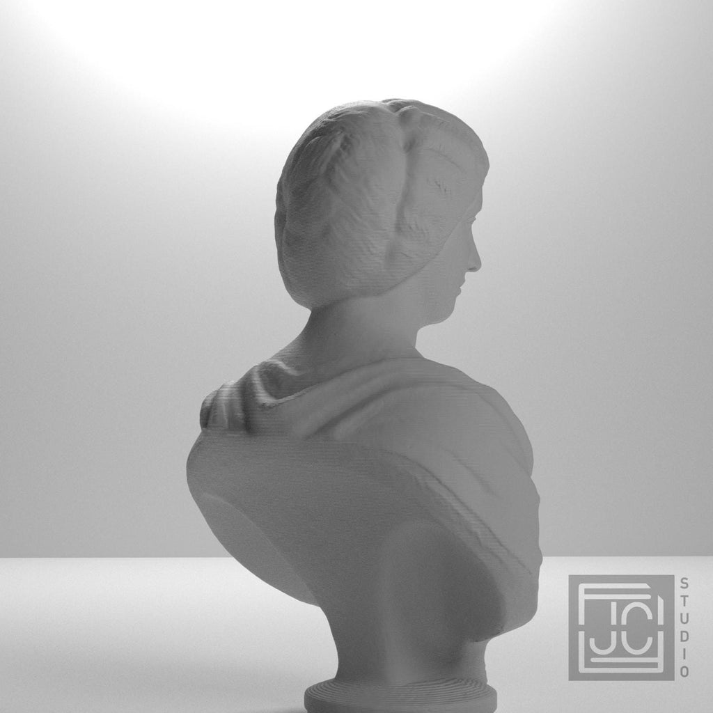 Marble Bust of a Roman Woman supplemental reference photo 8