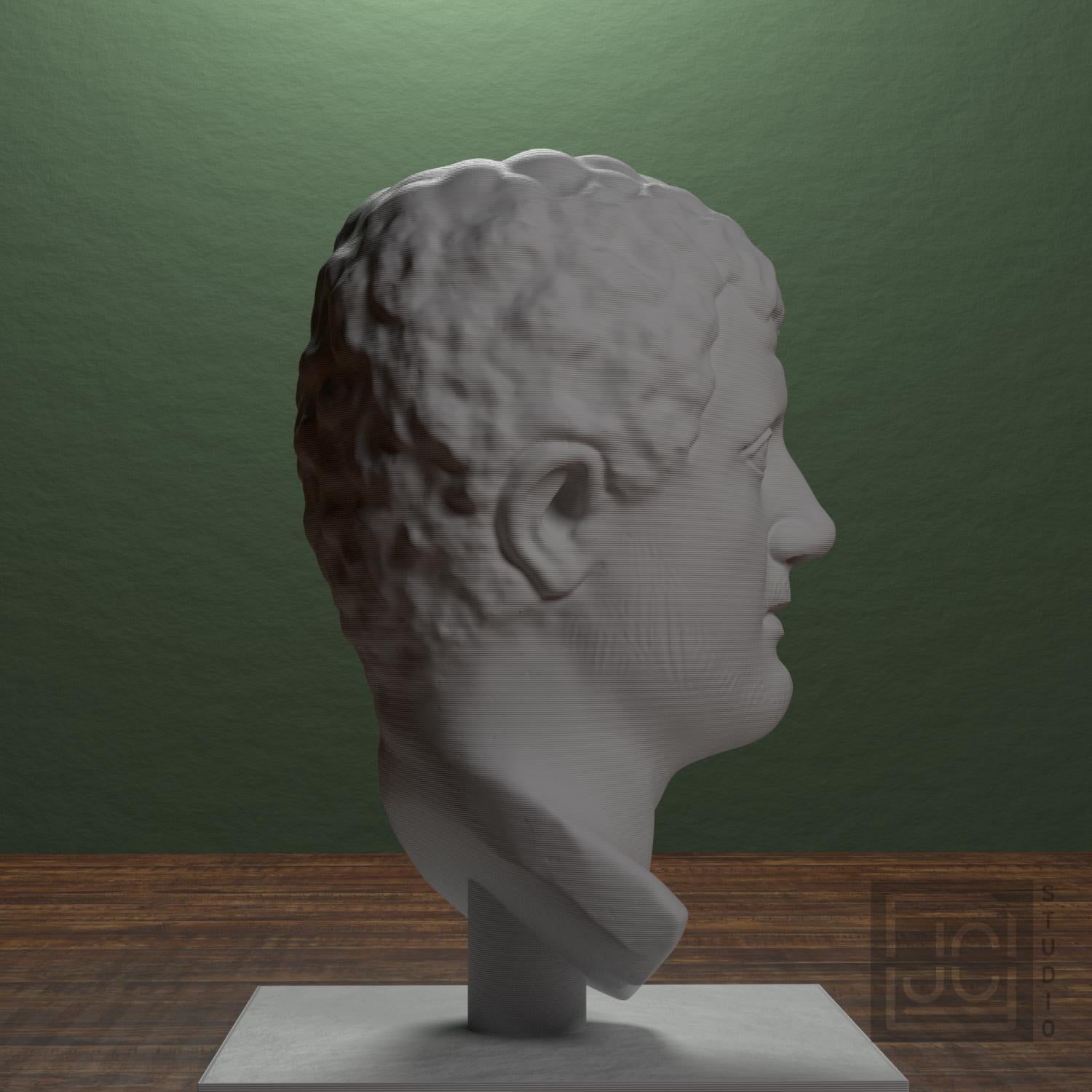 Portrait Head of a Man supplemental reference photo 2