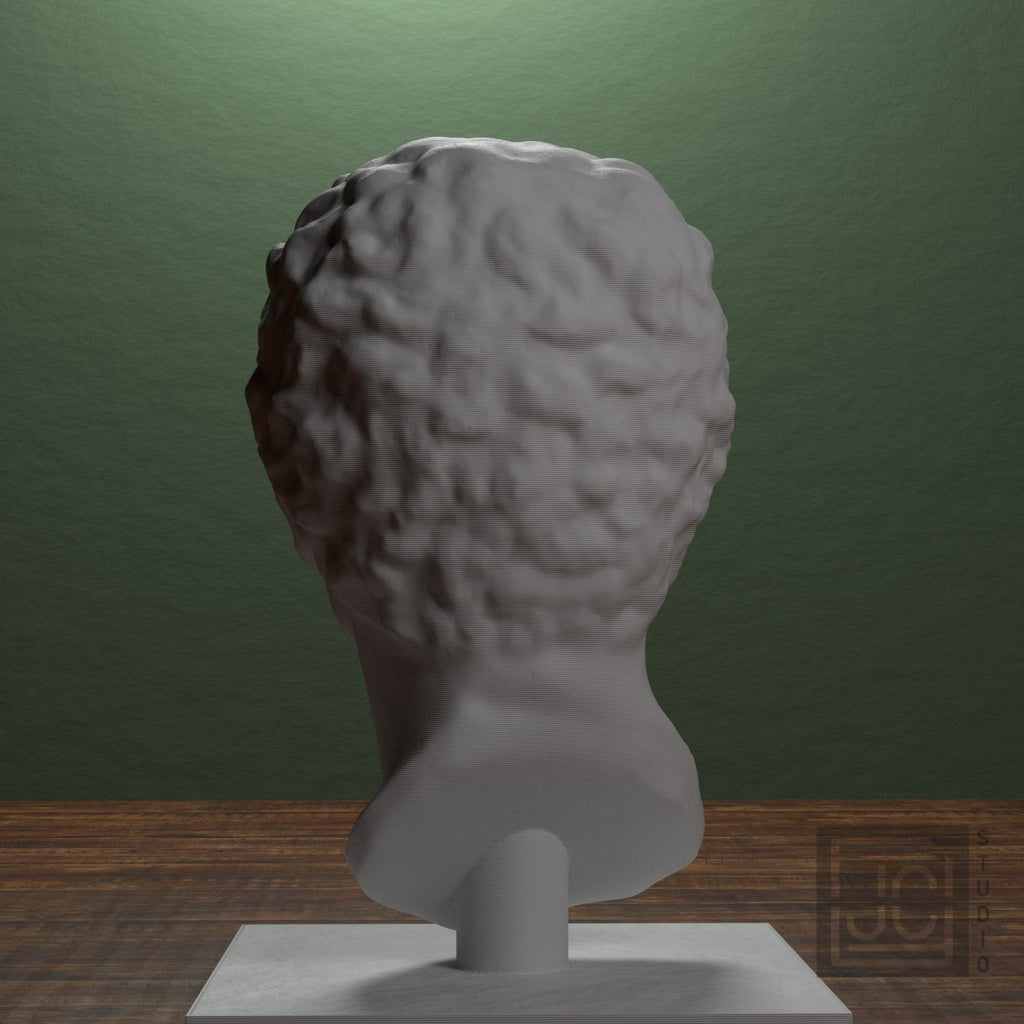 Portrait Head of a Man supplemental reference photo 3