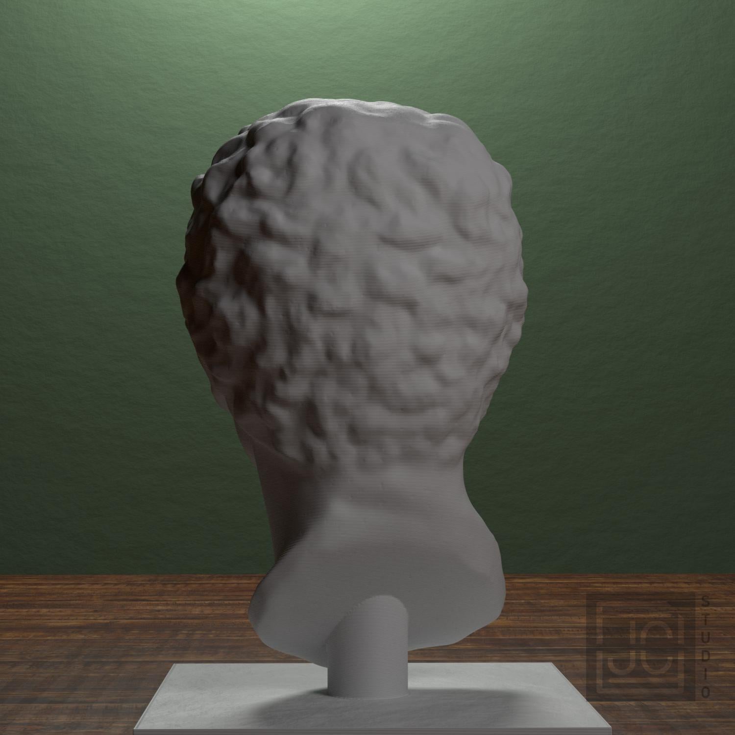 Portrait Head of a Man supplemental reference photo 3