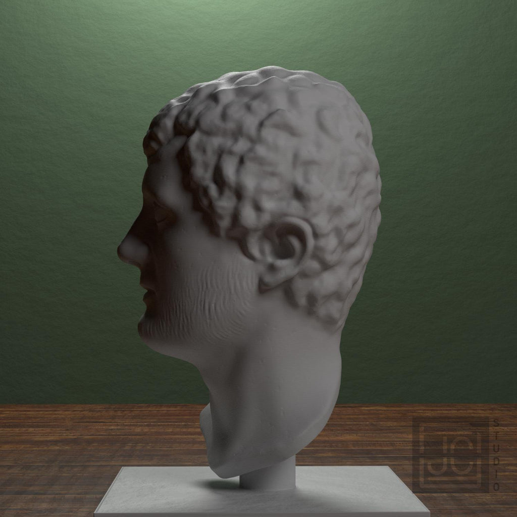 Portrait Head of a Man supplemental reference photo 4