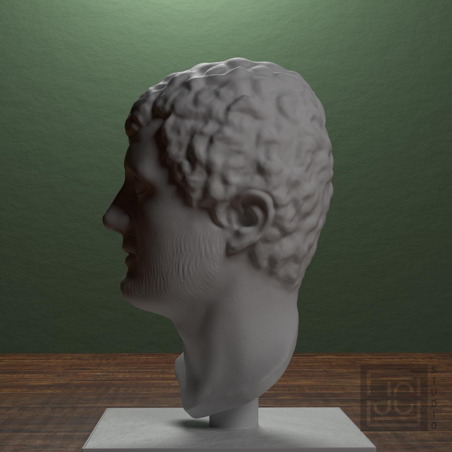 Portrait Head of a Man supplemental reference photo 4