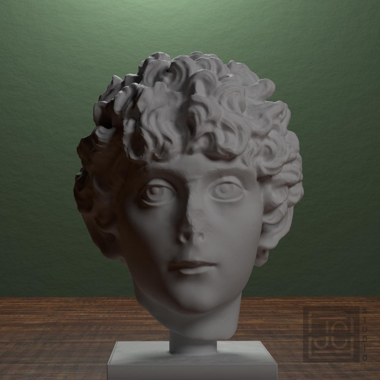 Head of a Roman Youth supplemental reference photo 1