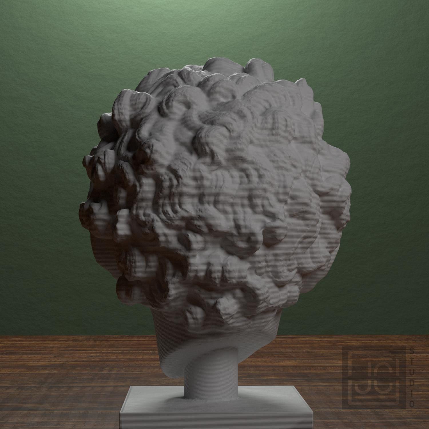 Head of a Roman Youth supplemental reference photo 3