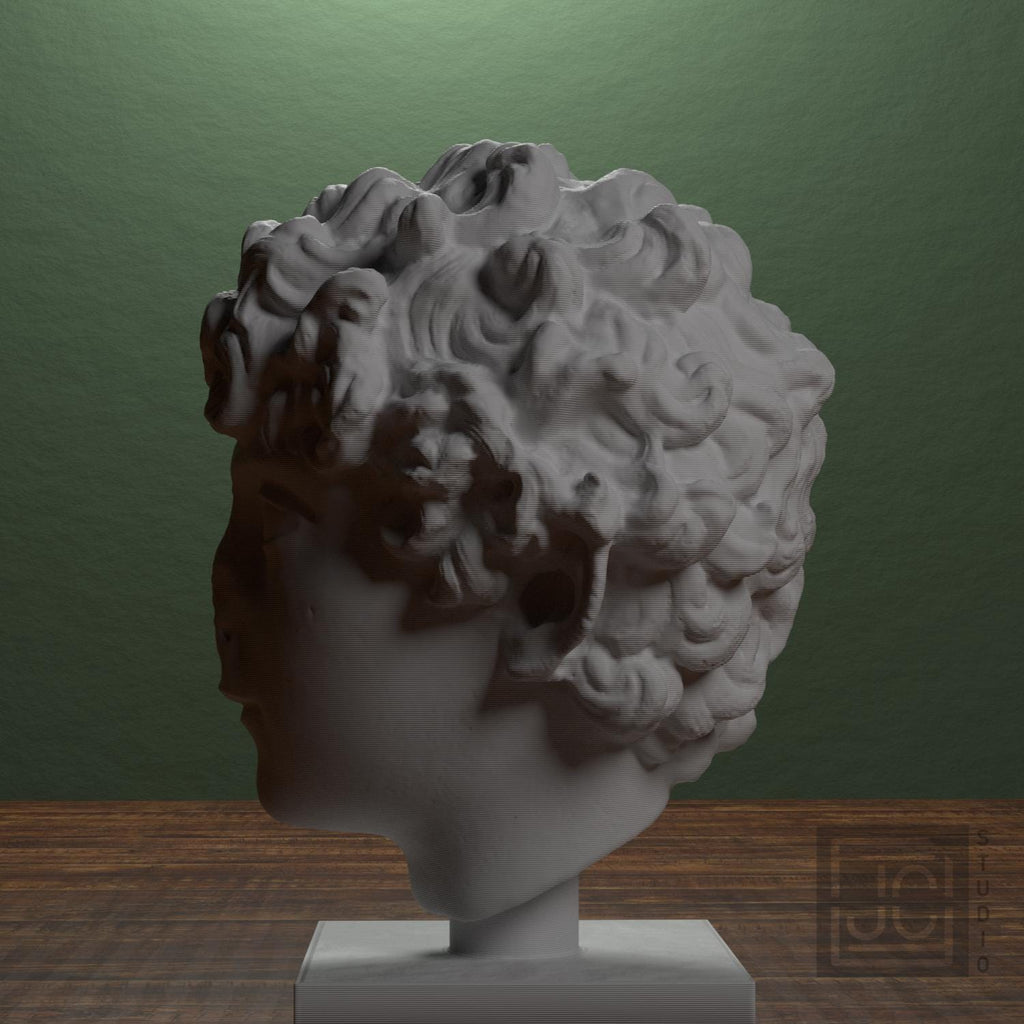 Head of a Roman Youth supplemental reference photo 4