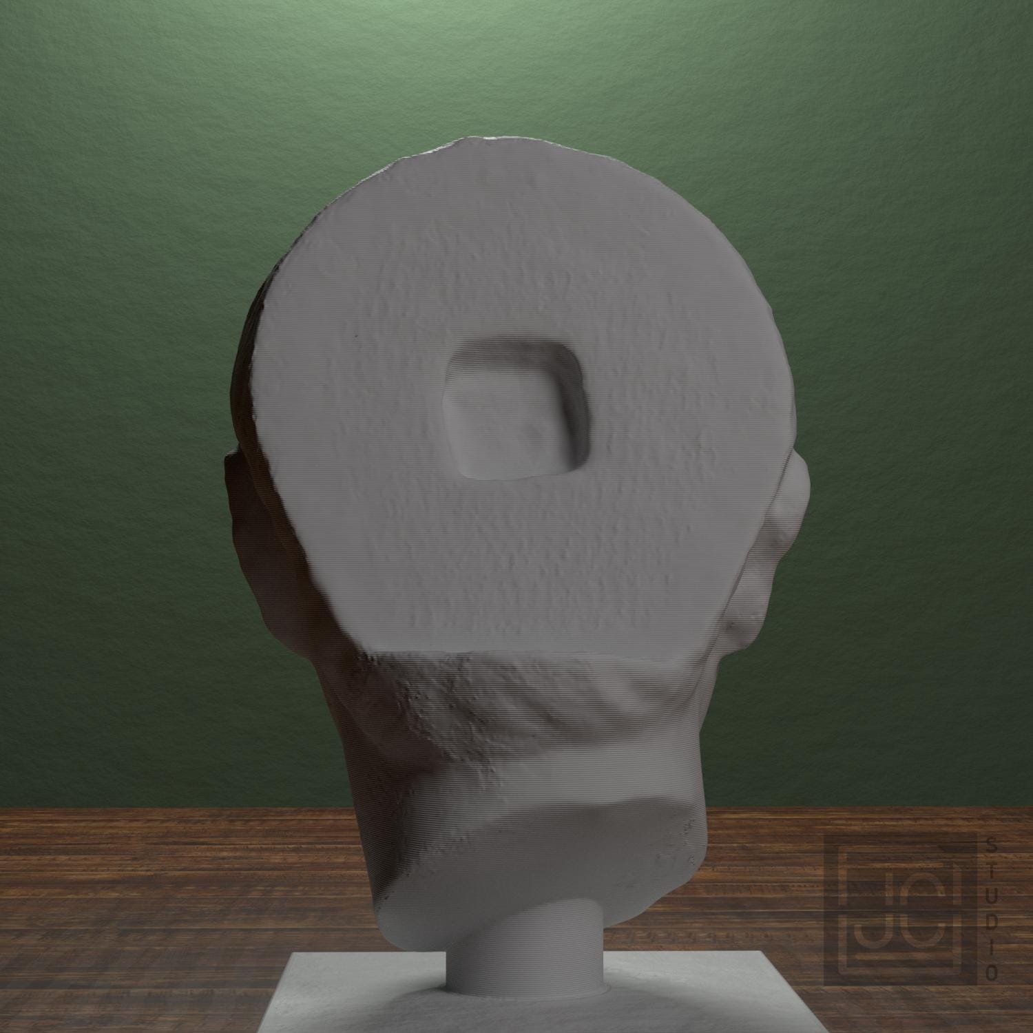 Head of a Young Man supplemental reference photo 3