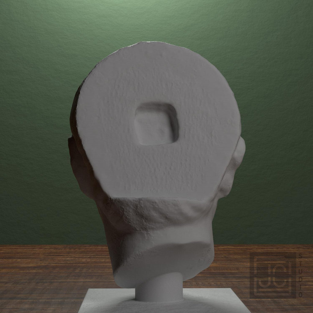Head of a Young Man supplemental reference photo 3