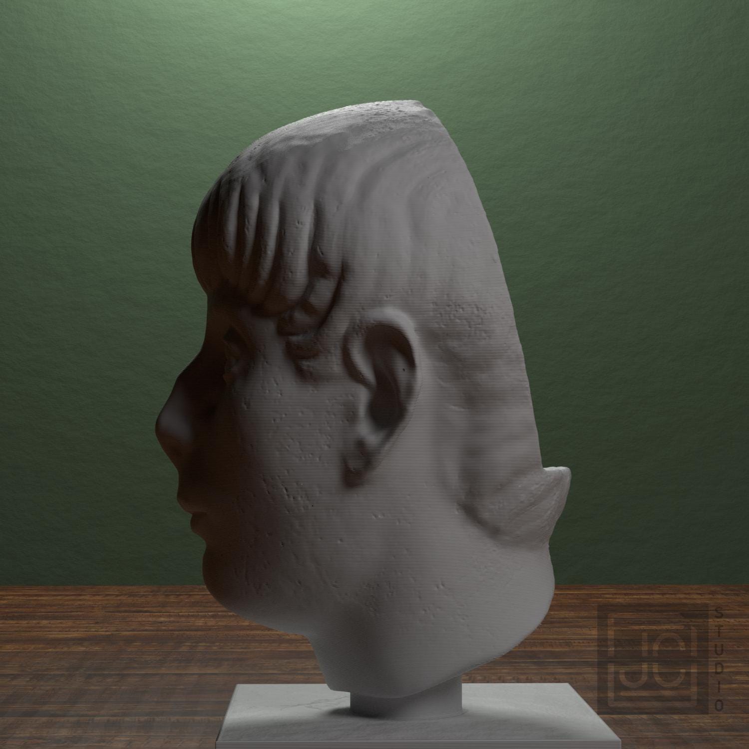 Head of a Young Man supplemental reference photo 4