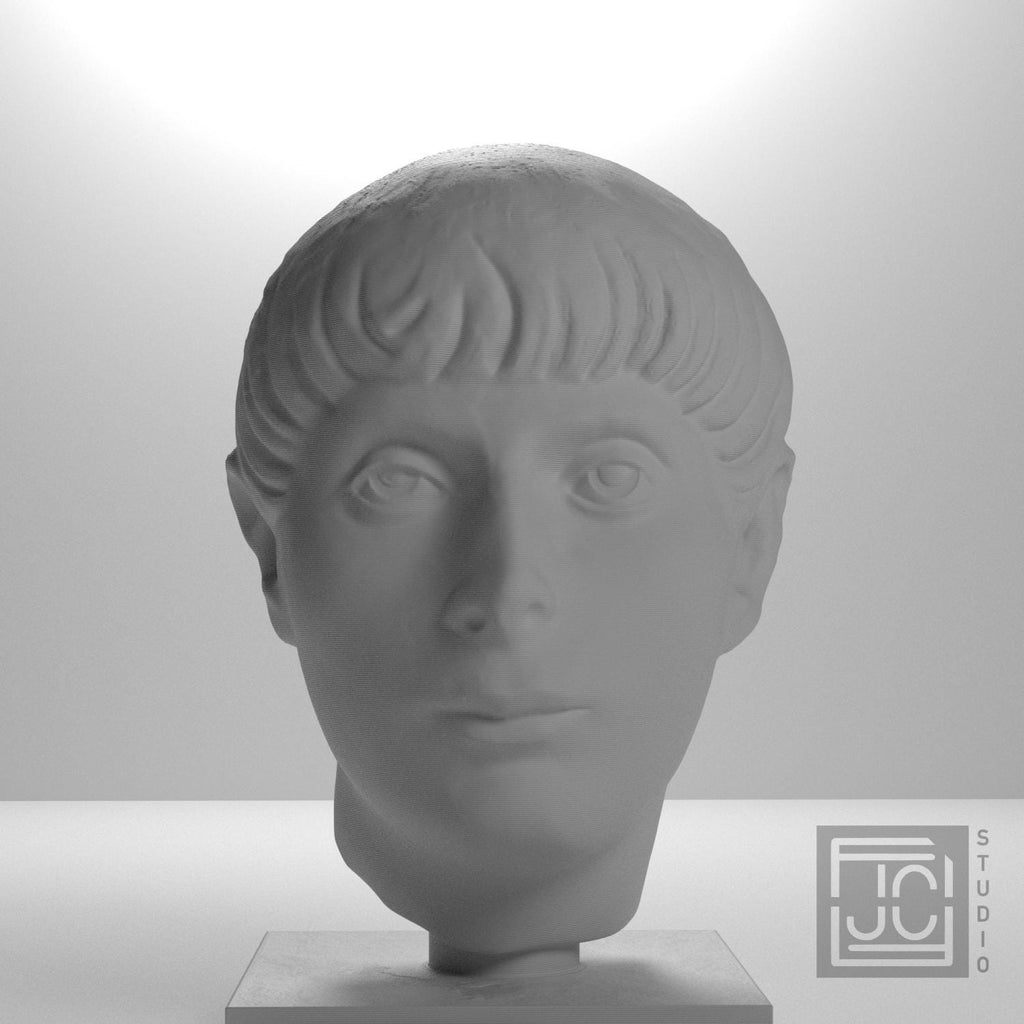 Head of a Young Man supplemental reference photo 5