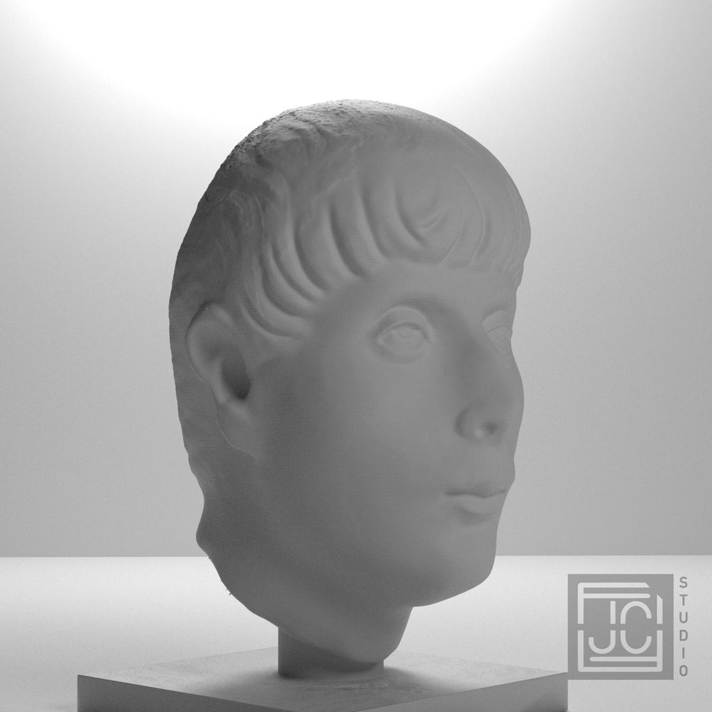 Head of a Young Man supplemental reference photo 6