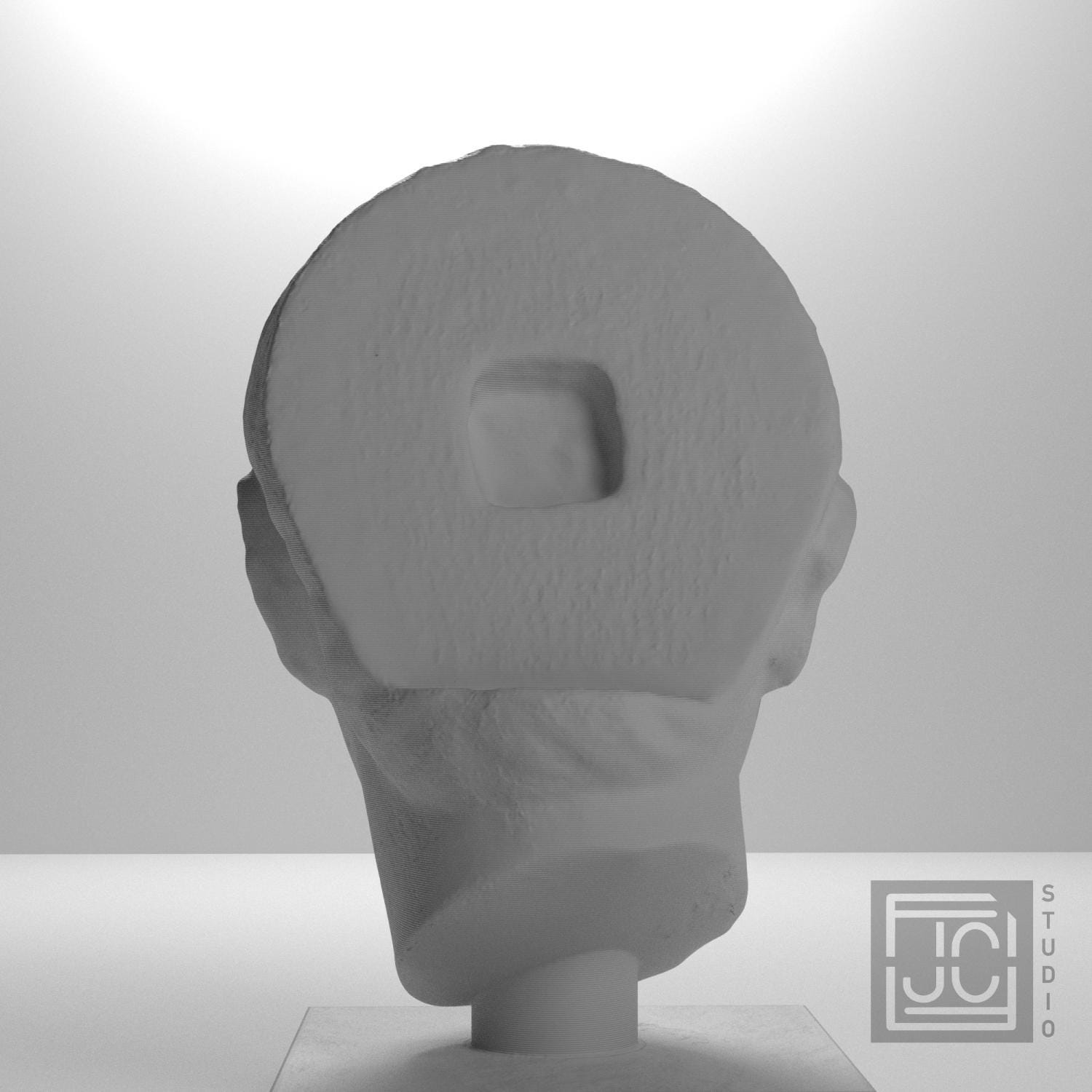 Head of a Young Man supplemental reference photo 9