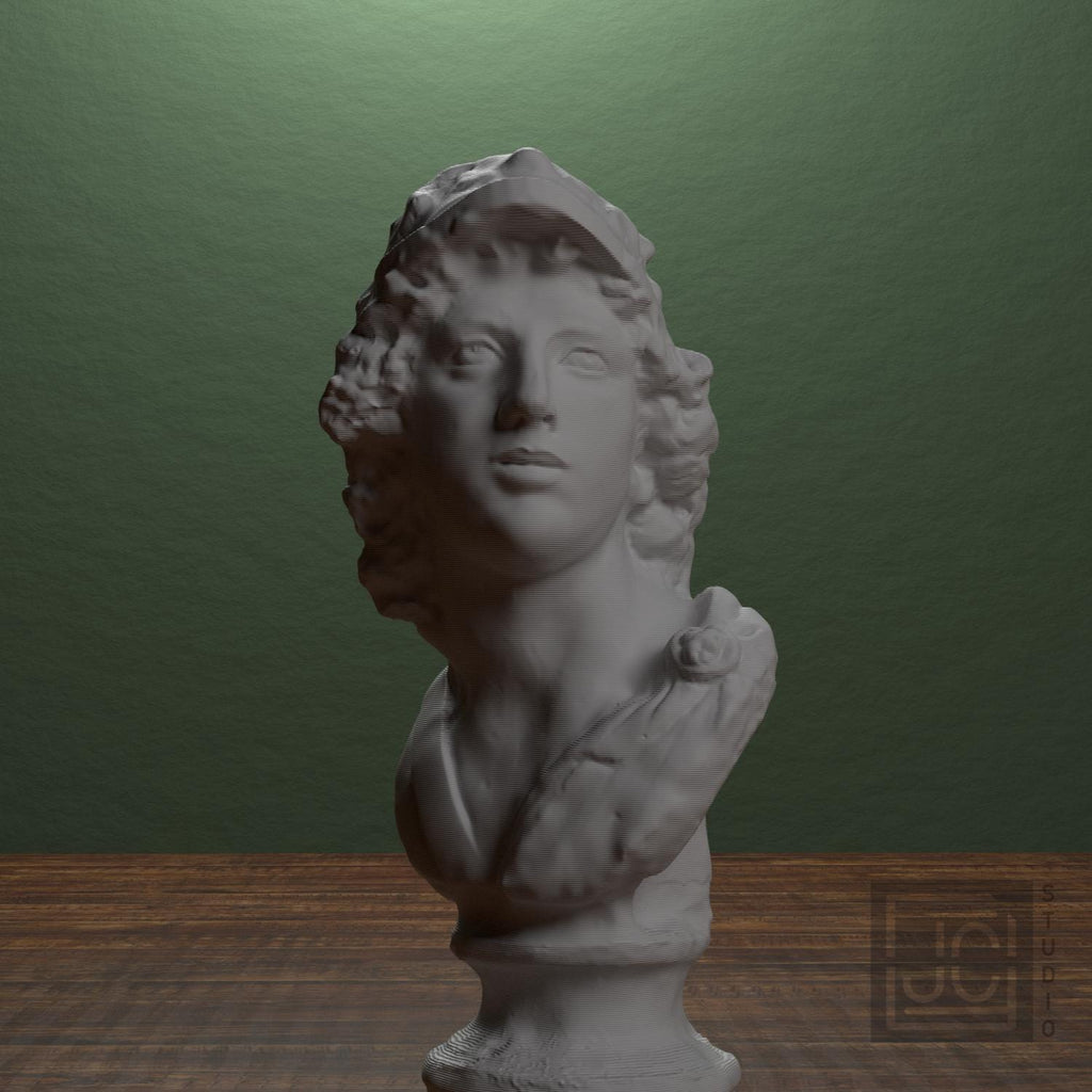 Bust of a God supplemental reference photo 1
